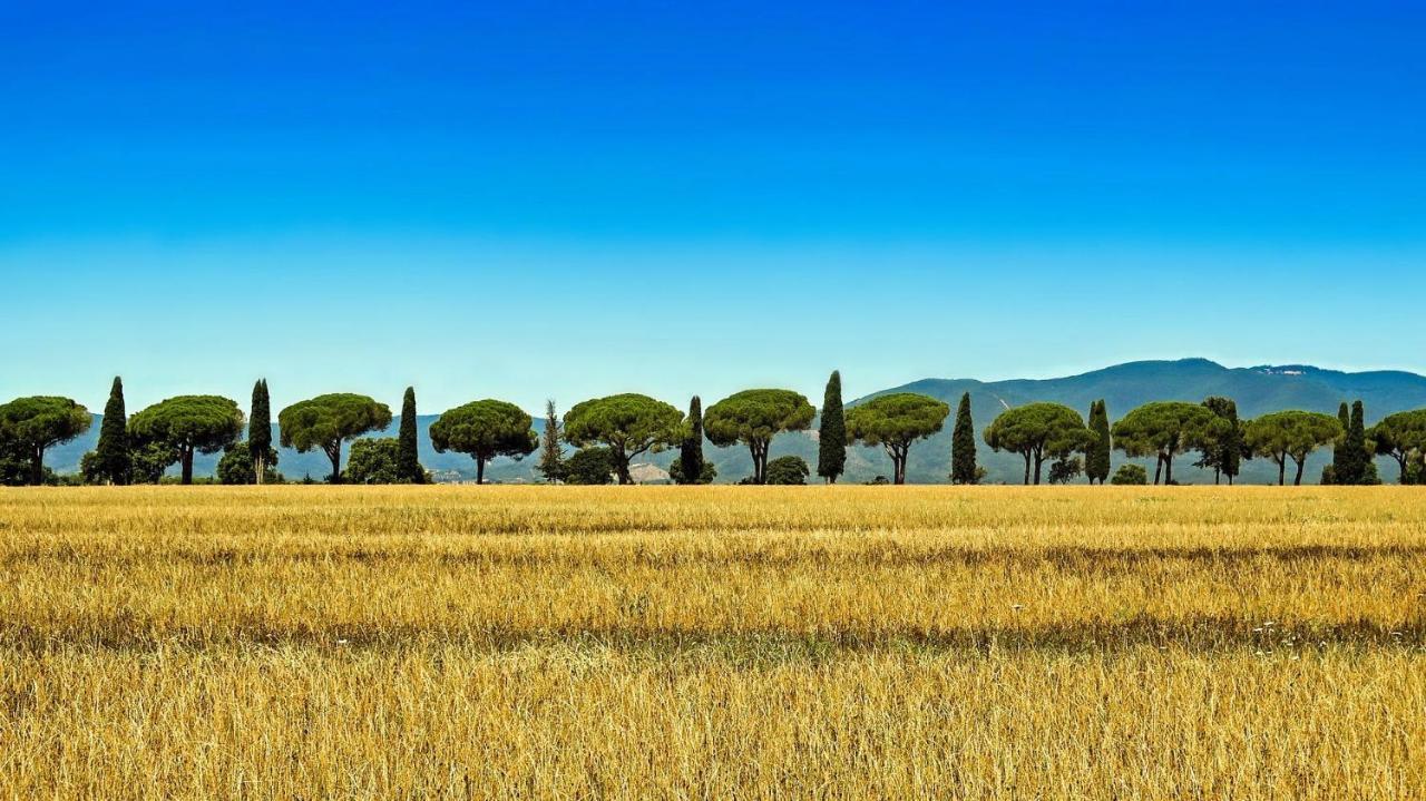 Goldentuscany Apartment Arezzo Dış mekan fotoğraf